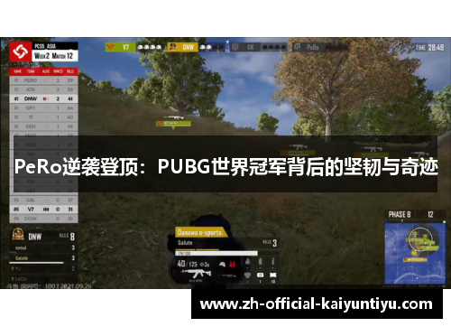 PeRo逆袭登顶：PUBG世界冠军背后的坚韧与奇迹